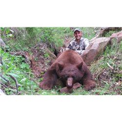 2016 Utah Book Cliff/Bitter Creek South Multi Season Bear Conversation Permit