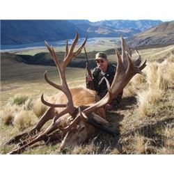 2016 Red Stag, Tahr, Chamois Hunt, South Island, New Zealand
