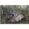 Image 1 : 5-Day Fully Guided Elk Hunt w/X-treme Outfitting