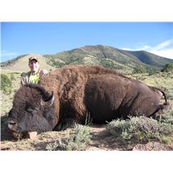 2016 Utah Henry Mountain Bison Conservation Permit Hunter’s Choice (early)