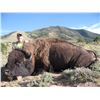 Image 1 : 2016 Utah Henry Mountain Bison Conservation Permit Hunter’s Choice (early)