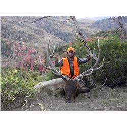 2016 LaSal Multi Season Premium Bull Elk Conservation Permit