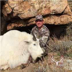 2016 Utah North Slope/South Slope High Uinta’s West Mountain Goat