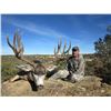 Image 1 : New Mexico Special Deer Permit