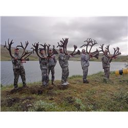 10-Day Trophy Mountain Caribou at Arctic Red Outfitters for (2) Hunters and (1)