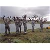 Image 1 : 10-Day Trophy Mountain Caribou at Arctic Red Outfitters for (2) Hunters and (1)
