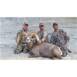 2016 Utah Kaiparowitz Desert Big Horn Sheep Conservation Permit