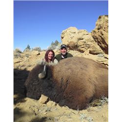 2016 Utah Statewide Bison Conservation Permit