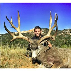 2016 Paunsaugunt Muzzleloader Deer Conservation Permit