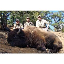 2016 Utah Book Cliffs Wild Horse Bench Bison Conservation Permit