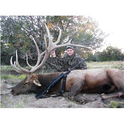 Zuni Reservation Bull Elk Hunt (1-hunter, 7-days/8-nights)