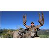 Image 1 : Archery Mule Deer Hunt on Private Ranch in Southern Colorado