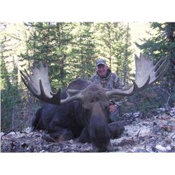2016 Utah Statewide Moose Conservation Permit