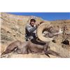 Image 1 : 2016 Nine Mile, Range Creek Late Rocky Mountain Bighorn Sheep Conservation Permit