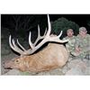 Image 1 : 2016 Utah Southwest Desert Multi-Season Elk Conservation Permit
