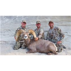 2016 Utah Statewide Desert Bighorn Sheep Conservation Permit
