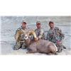 Image 1 : 2016 Utah Statewide Desert Bighorn Sheep Conservation Permit