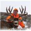 Image 1 : 2016 Colorado Statewide Mule Deer Tag