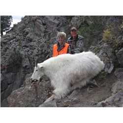 2016 Utah Statewide Mountain Goat Conservation Permit