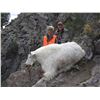 Image 1 : 2016 Utah Statewide Mountain Goat Conservation Permit