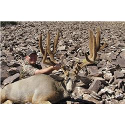 2016 Utah Statewide Mule Deer Conservation Permit