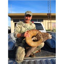 San Carlos Apache Tribe Commissioners Desert Bighorn Permit