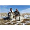 Image 1 : Kyrgyzstan Marco Polo Sheep Hunt