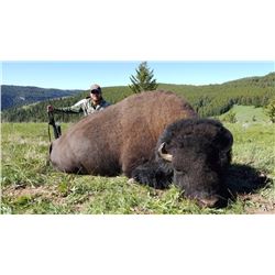 2016 Montana Free Range Buffalo Hunt (1 hunter)