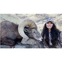 Antelope Island California Bighorn Sheep Permit