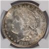 Image 2 : 1921-D MORGAN SILVER DOLLAR, NGC MS-64+  NICE!