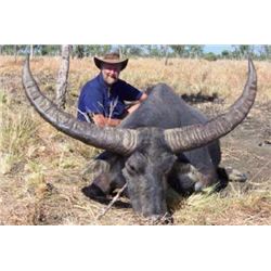 Australia Water Buffalo Hunt