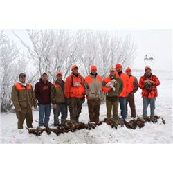 South Dakota Pheasant Hunt Reserve