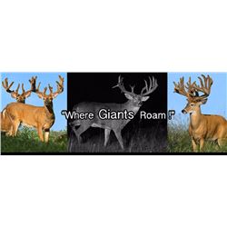 Ohio Whitetail Deer Hunt