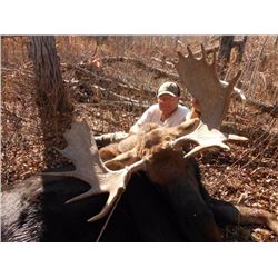 Alberta Moose Hunt during Rut