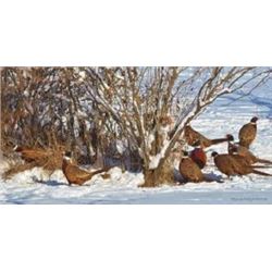 Michigan Pheasant Hunt