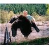 Image 1 : Montana Black Bear and Turkey Hunt