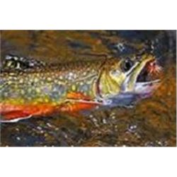 Michigan Fly Fishing Trip