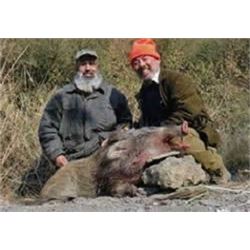 Argentina Big Game Hunt