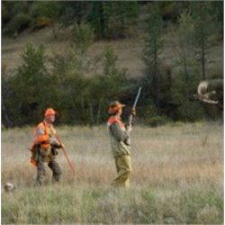 Idaho Upland Bird Hunt