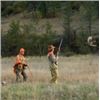 Image 1 : Idaho Upland Bird Hunt