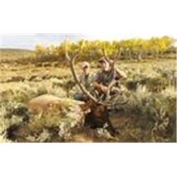 Wyoming Archery Elk Hunt