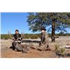 Image 1 : New Mexico Desert Mule Deer Hunt