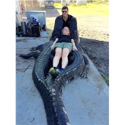 Florida Gator Management Hunt