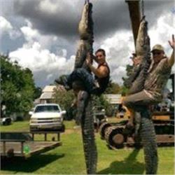 Premium Louisiana Alligator Hunt