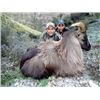 Image 1 : New Zealand Bull Tahr Hunt