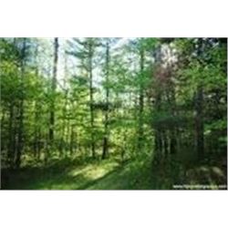 Full Day Wildlife Habitat Property Consultation