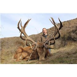 5 Day/5 Night Hunt for Red Stag