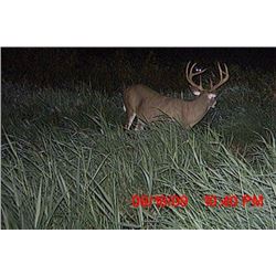 3 Day Hunt for 150” Whitetail Deer for One Hunter