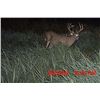 Image 1 : 3 Day Hunt for 150” Whitetail Deer for One Hunter