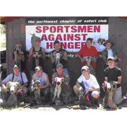 Youth Hunt Guided Non Trophy Sheep Hunt